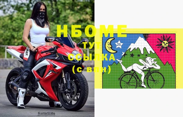 шишки Белоозёрский