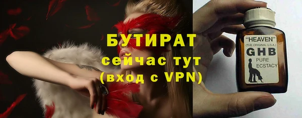 шишки Белоозёрский