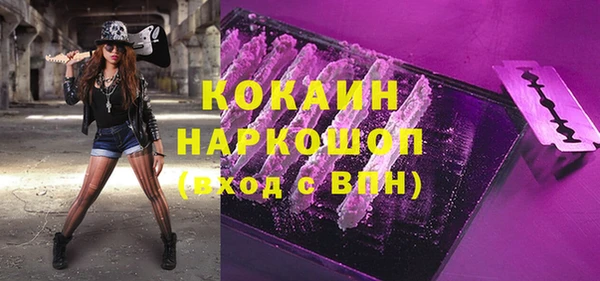 шишки Белоозёрский