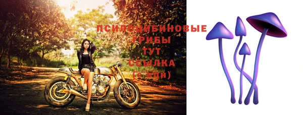 шишки Белоозёрский