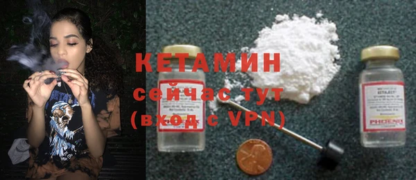 шишки Белоозёрский