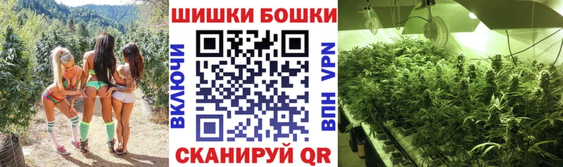 где найти наркотики  Полесск  Бошки марихуана Bruce Banner 